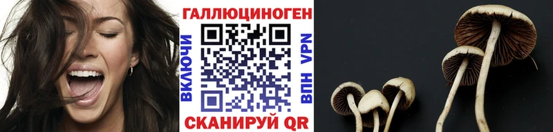 Псилоцибиновые грибы Psilocybe  дарк нет официальный сайт  Ликино-Дулёво 